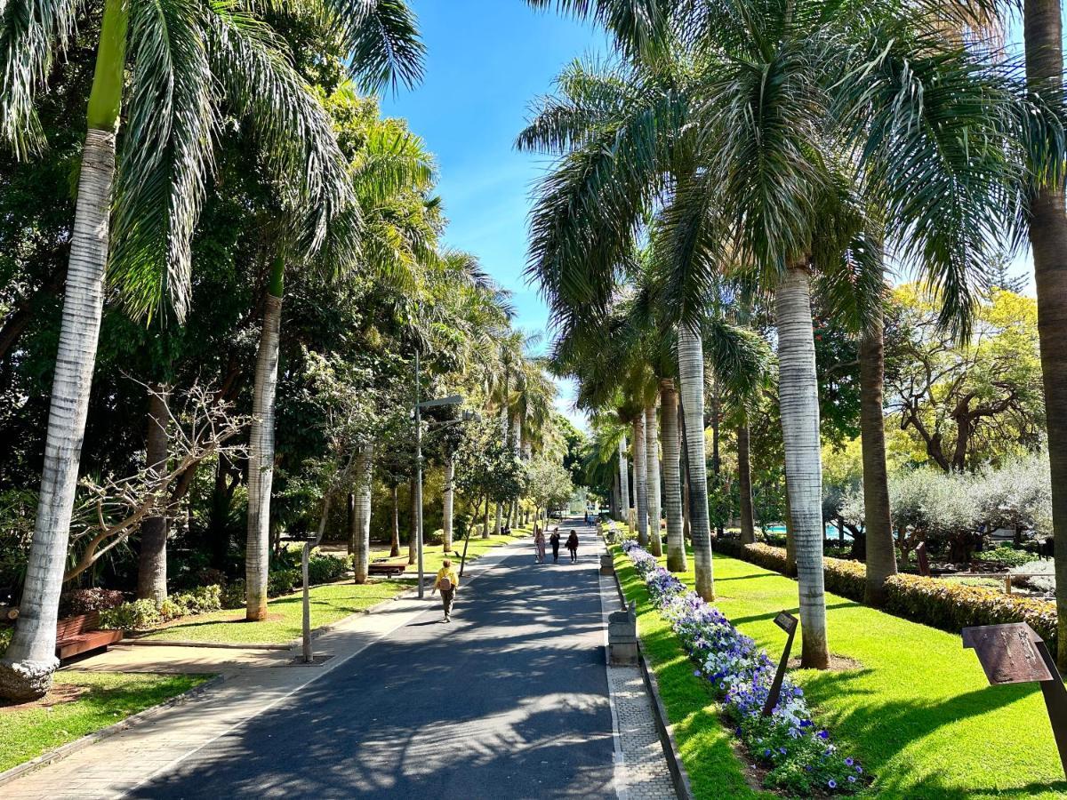 Апартаменты Centrico Y Moderno Junto Al Parque Санта-Крус-де-Тенерифе Экстерьер фото